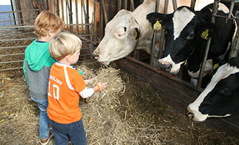 kinderfeestje-buiten-de-deur