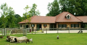 kinderfeestje-streekboerderij-daniken-geleen