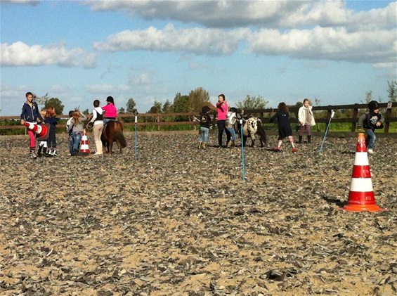 Paardenfeestje bij Stal Oostwal