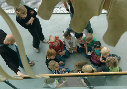 Natuurhistorisch Museum Rotterdam