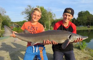 kinderfeestje toms creek lelystad