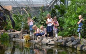 kinderfeestje vlindertuin vlindorado waarland