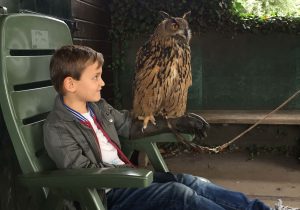 kinderfeestje-roofvogel-uilen-1